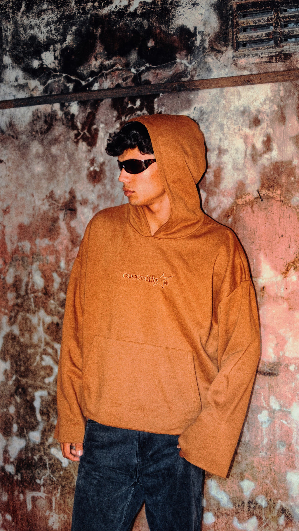 DISTRESSED HOODIE - CHOCOLATE // BROWN EMBROIDERY